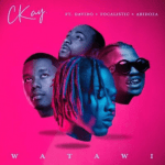 Ckay Ft. Davido, Focalistic & Abidoza – Watawi