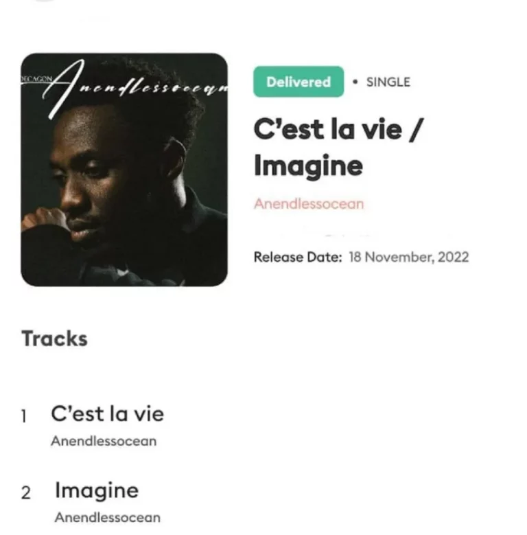 Anendlessocean – C’est La Vie | Imagine